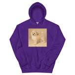 Unisex Hoodie • Dixie