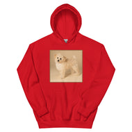 Unisex Hoodie • Dixie