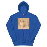 Unisex Hoodie • Dixie