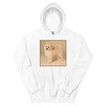 Unisex Hoodie • Dixie