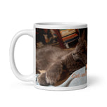 White glossy mug • Cats and Dogs Can Get Along!