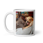 White glossy mug • Home is Where the Cat Is • 2 Views
