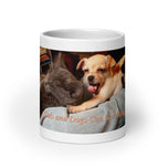 White glossy mug • Cats and Dogs Can Get Along!