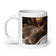 White glossy mug • Cats and Dogs Can Get Along!